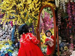 -正佳雨林生态植物园