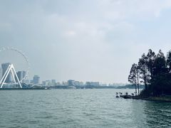 -金鸡湖桃花岛