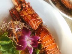 -Onion restaurant