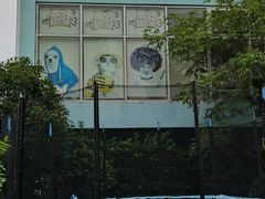 -汪说喵讲宠物乐园宠物酒店(红星美凯龙店)