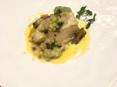 银鳕鱼-福楼法餐厅FLO