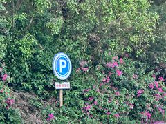 -北海金海湾红树林生态旅游区