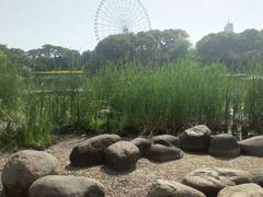 -蠡湖大桥公园
