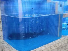 -香山湖渔家大院