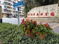 -广州市流溪河国家森林公园