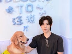 -汪说·狗咖·拼豆·宠物周边DIY(旺城大厦店)