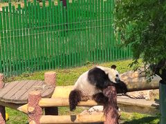 -沈阳森林动物园