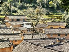 -杨家堂村