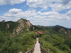 -大岭沟猕猴桃谷风景区
