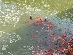 -泰安地下龙宫景区