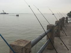 -南沙十九涌渔人码头-南门