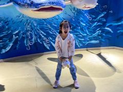 -烟台海昌鲸鲨海洋公园