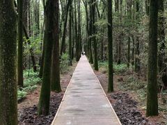 -同里国家湿地公园
