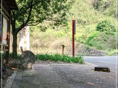 -白云山风景名胜区