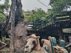 -长鹿旅游休博园