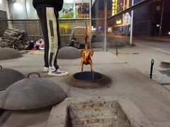 -银峰农庄·特色烧鸡·鲜无花果浸鸡