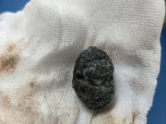 -派美特宠物医院·核磁CT·骨科肿瘤·疑难转诊(沈农禾丰店)