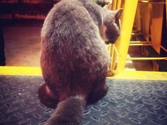 -MIKAKU(万达广场上海宝山店)