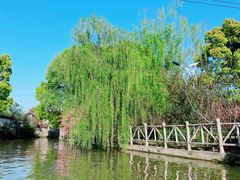 -南汇桃花村