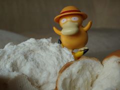 -白玉兰食品(中山公园龙之梦店)