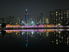 -西北湖绿化广场