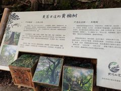 -南山植物园