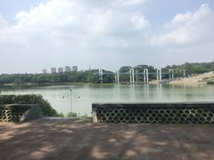 -东莞植物园