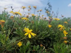 -云漫湖生态度假公园