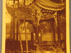 -温江公园