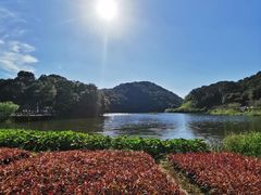 -广州市石门国家森林公园