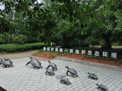 -广东惠东海龟国家级自然保护区