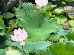 -宁波九龙湖开元度假村