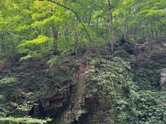 -五女峰国家森林公园