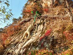 -丹东天桥沟景区