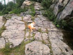 -阳台山自然风景区