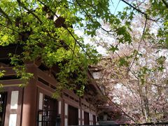 -西安青龙寺遗址景区