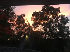 -清迈夜间动物园