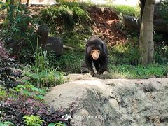 -杭州野生动物世界