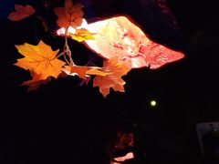 -醉小酒馆·川菜·江湖菜·重庆菜(观音桥旗舰店)