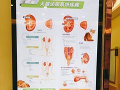 -瑞鹏宠物医院·骨科·猫科·内科(第一中心)