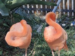-昆明动物园