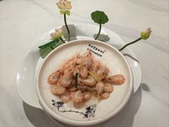盐水白虾-好厨郎烤鱼·家常菜(红旗路总店)