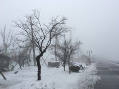 -江南天池