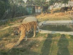 -泉州海丝野生动物世界