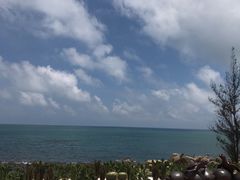 -广东惠东海龟国家级自然保护区