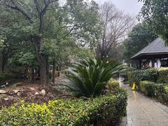 -庐山上汤温泉度假村