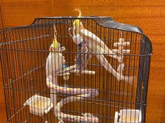 -火舞泰·泰式海鲜火锅餐厅(世纪城店)