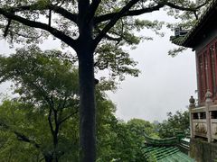 -鼎湖山风景区