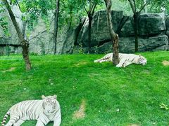 -北京野生动物园
