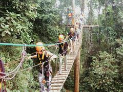 景点-清迈丛林飞跃 JungleFlight